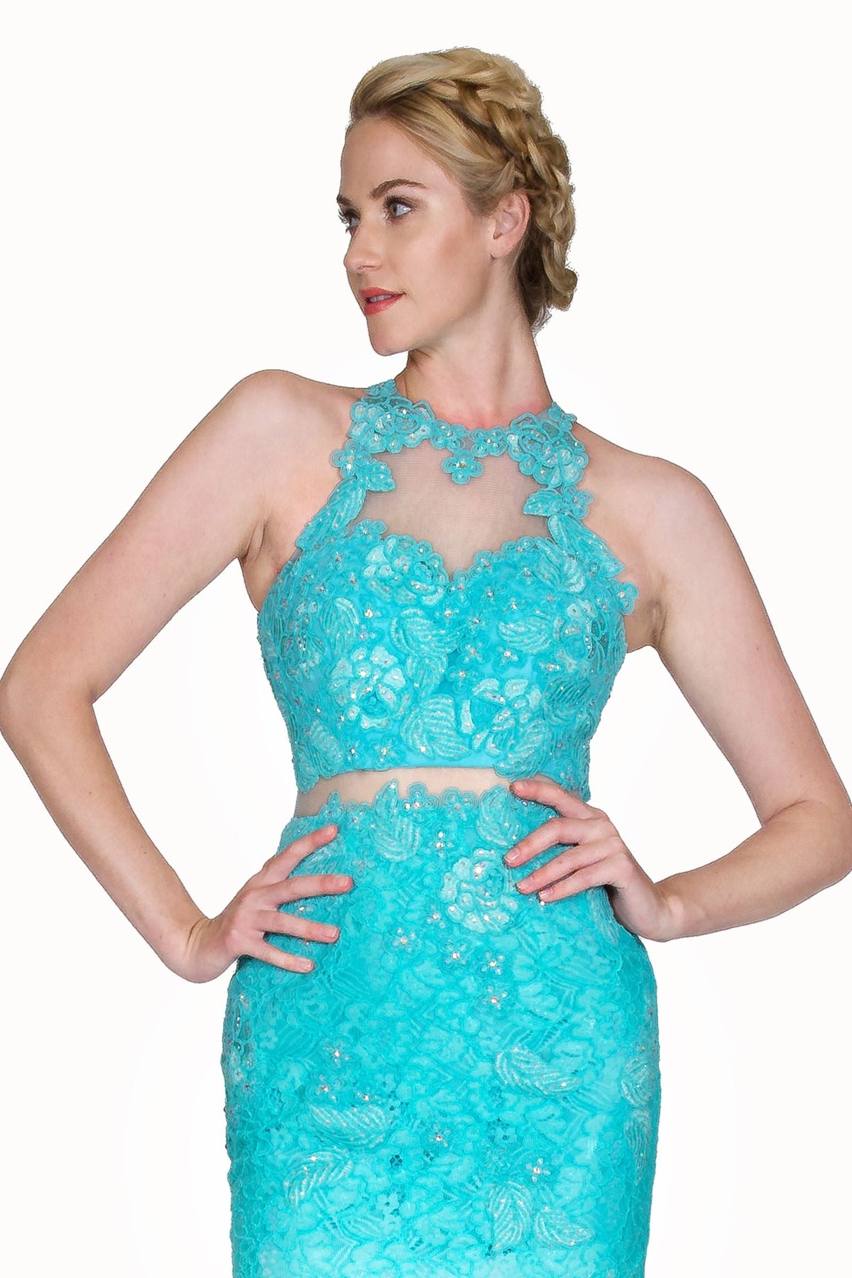 Ladivine 1586 - Sheer Lace Appliqued Sheath Gown