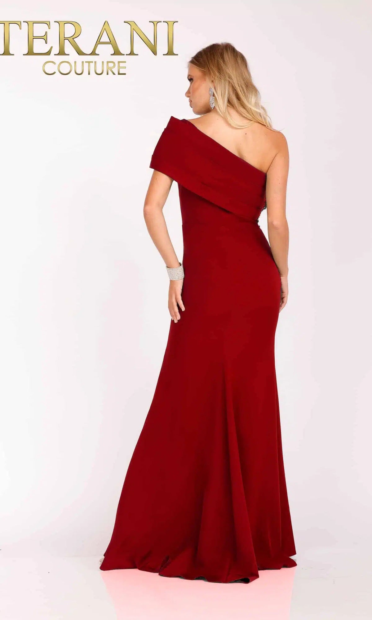 Terani Couture 231M0473 - Mermaid Long Mother of the Bride Gown - view 6