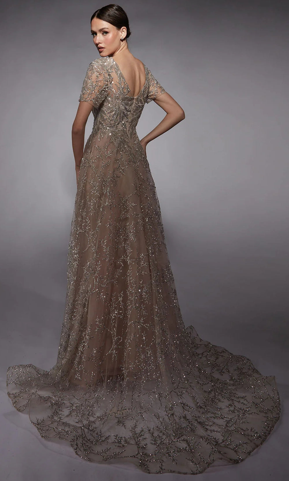 Alyce Paris 27726 - Sequin Glitter Tulle A-line Dress - detail view