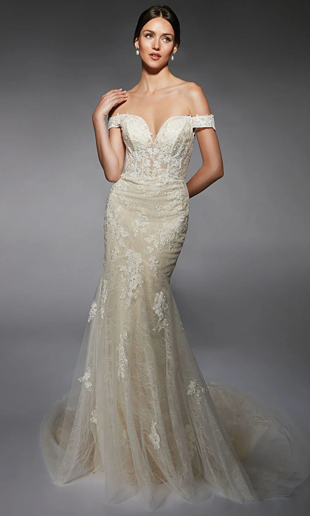 Alyce Paris 7118 - Off Shoulder Lace Fit and Flare Gown - designer wedding dress at Silhouette Dresses