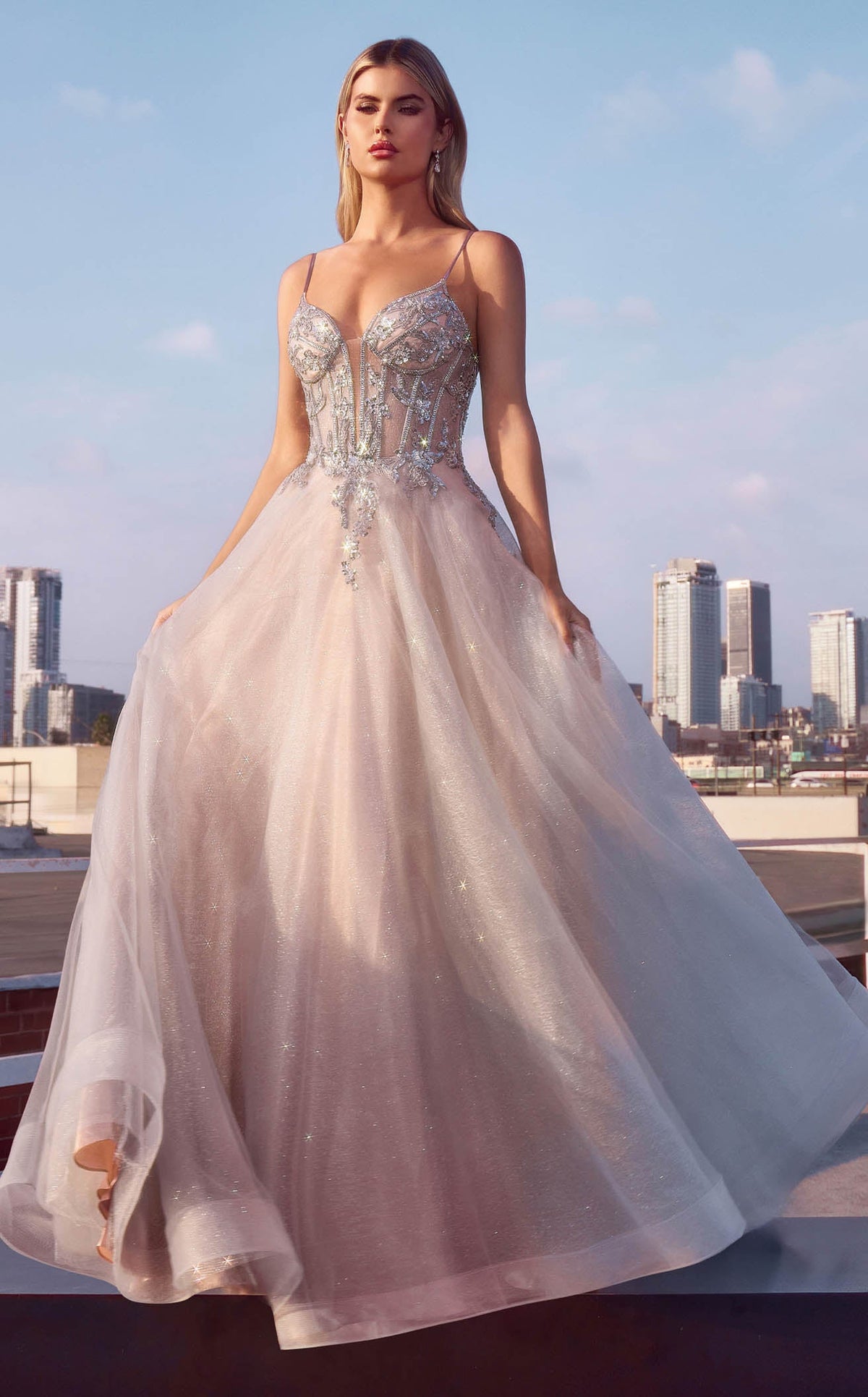 Ladivine CC0881CL dress — view 2