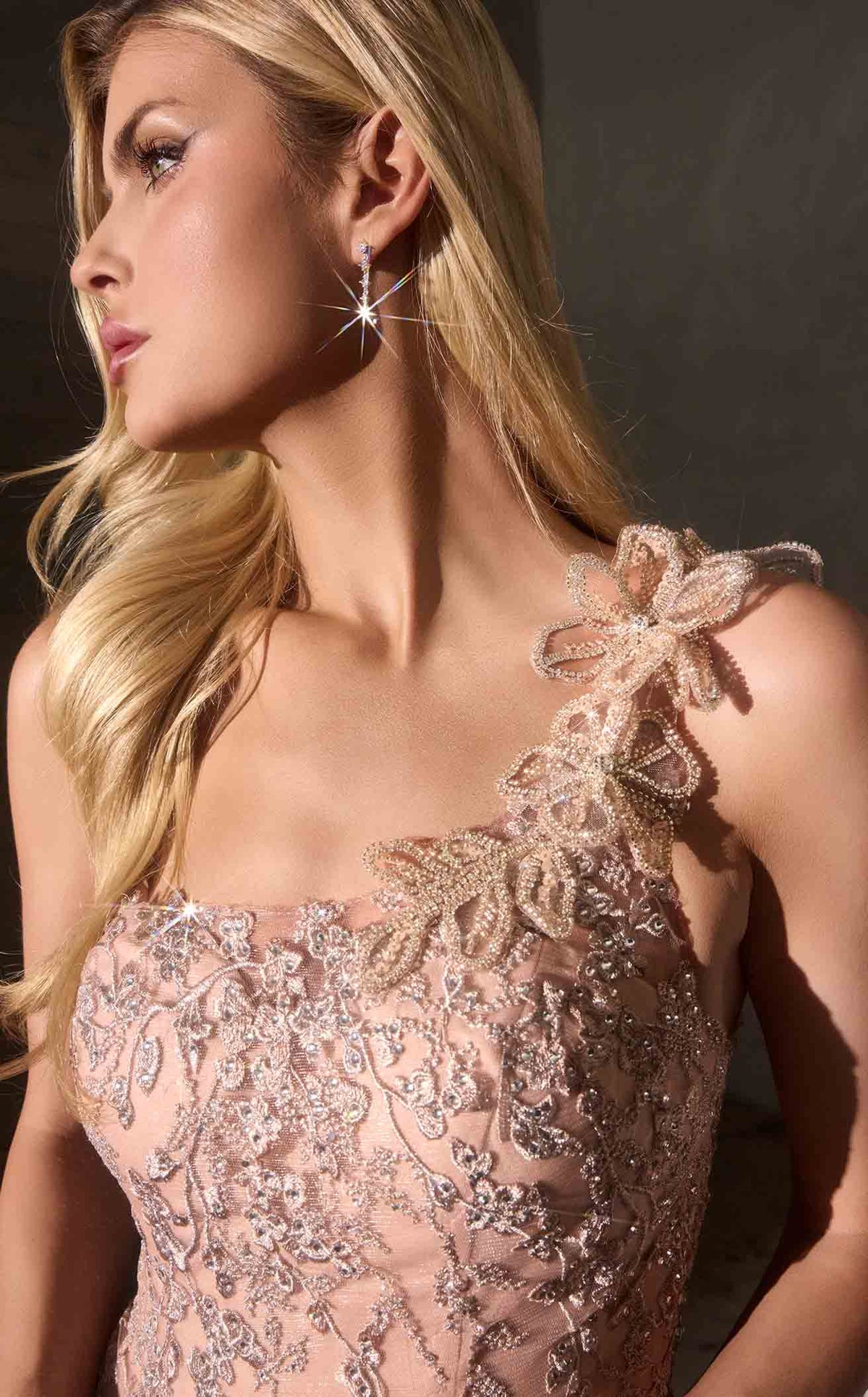 Ladivine J909CL dress — view 3
