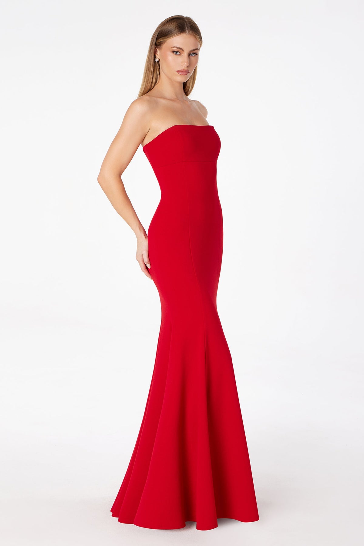 Ladivine T2010 - Strapless Lace Up Back Gown