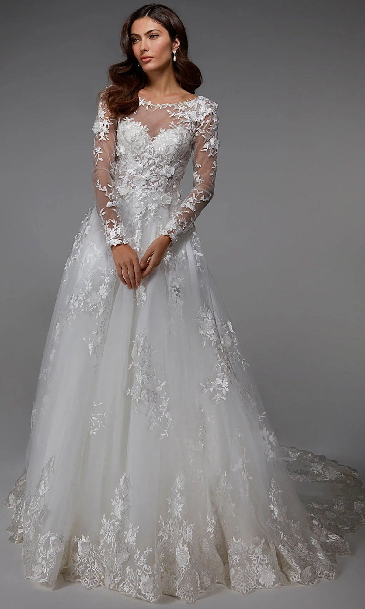 Alyce Paris 7046 - Long Sleeve Embroidered A-Line Gown