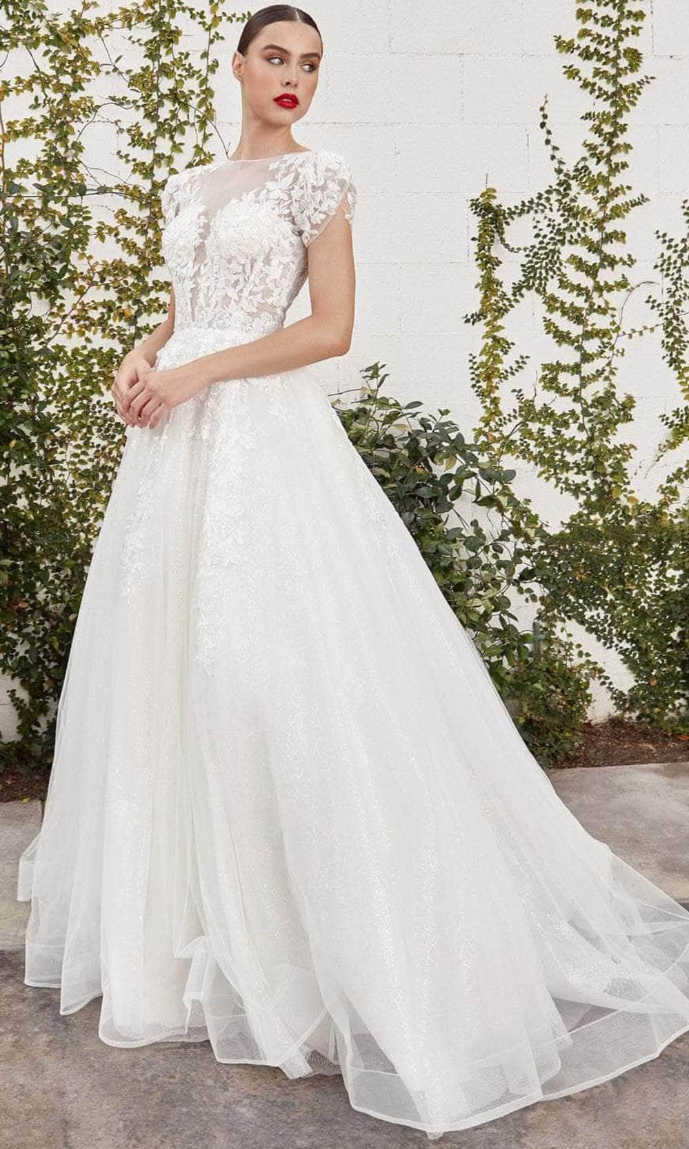 Andrea and Leo A1082W - Lace Applique Cap Sleeve A-Line Dress - detail view
