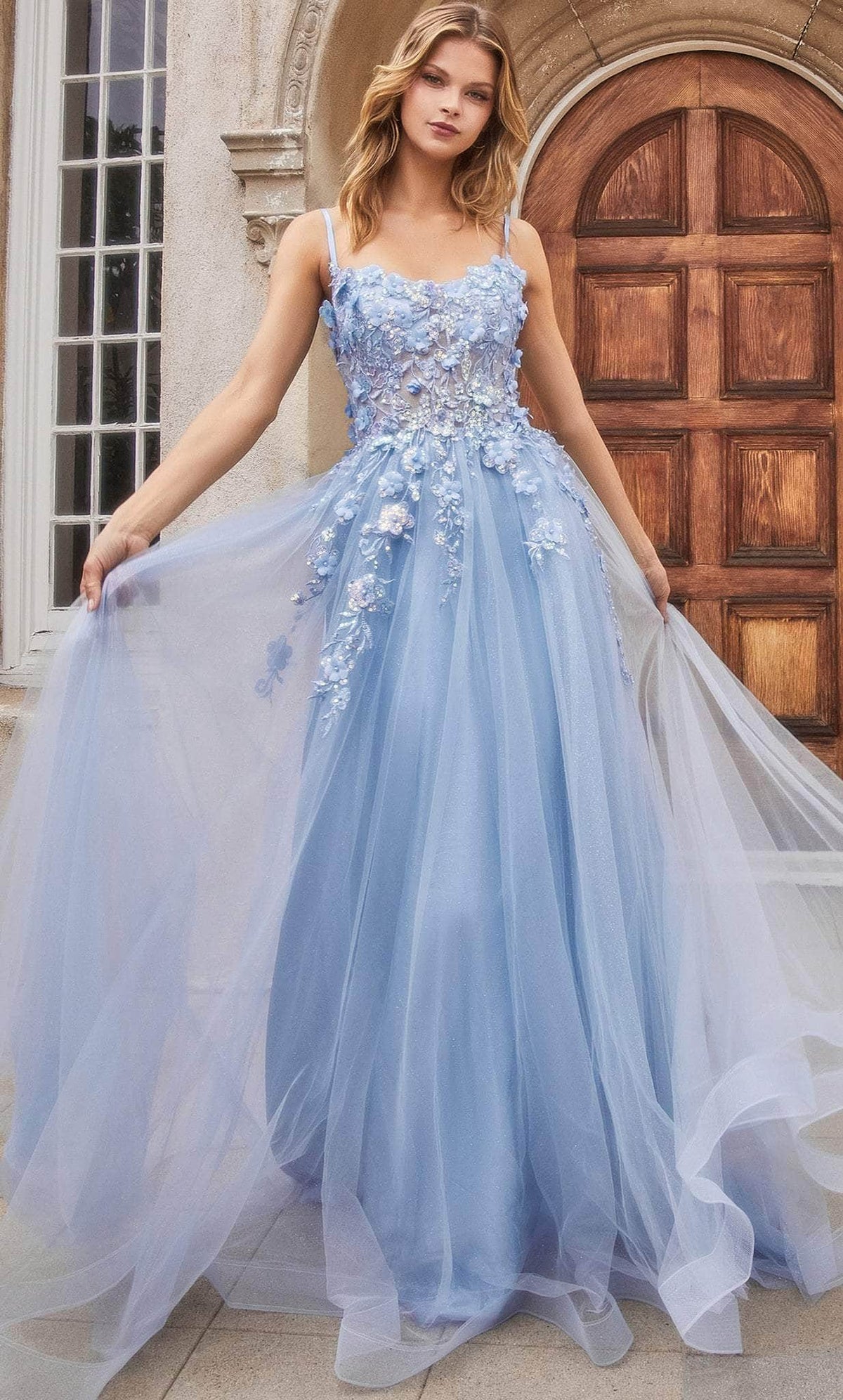 Andrea and Leo A1142 - Scoop Floral Appliqued Prom Gown - back view