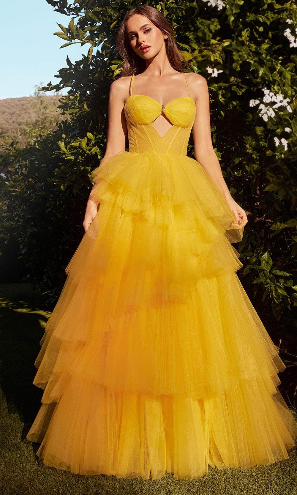 Andrea and Leo A1238 - Sweetheart Cutout Gown - back view