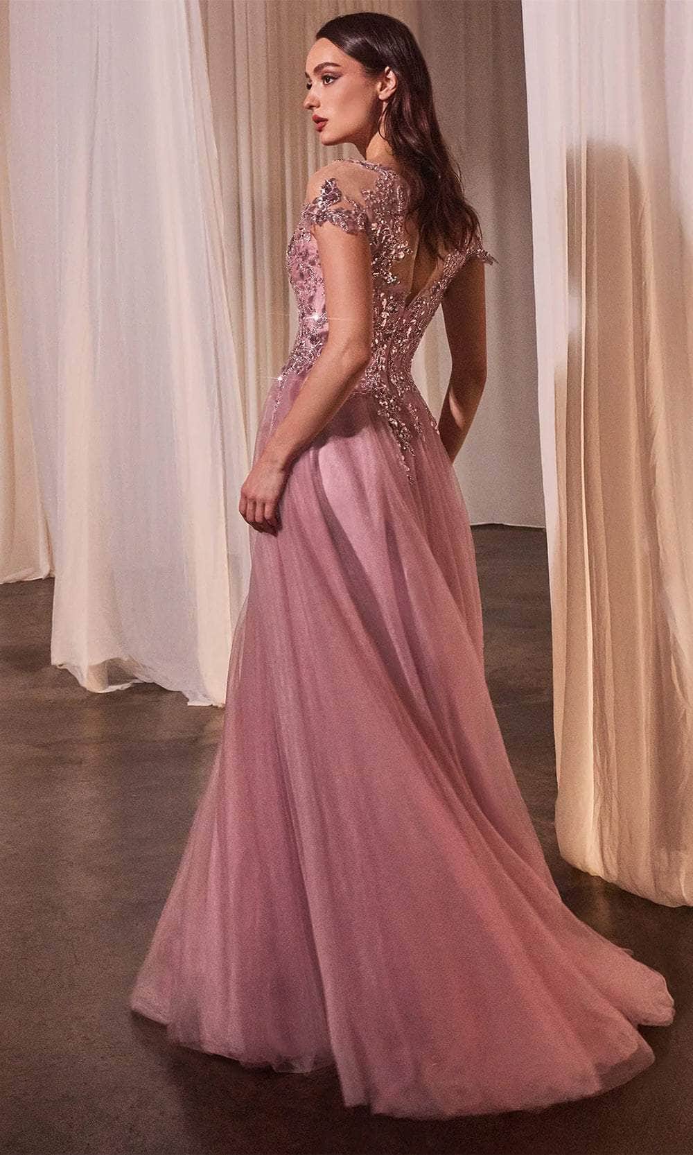 Andrea and Leo A1350 - Sequin Applique Long Gown - back view