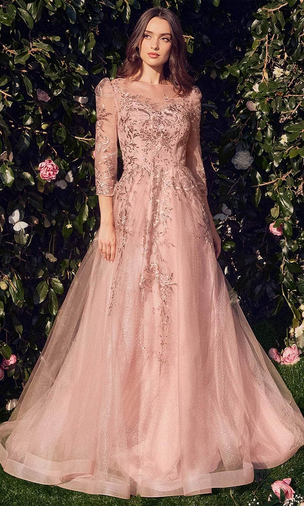 Andrea and Leo A1352 - Quarter Sleeve Tulle Long Gown - designer mother of the bride dress at Silhouette Dresses
