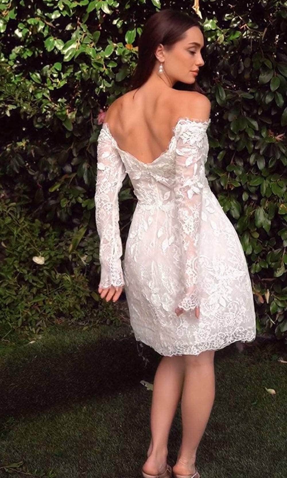Andrea and Leo WL021 - Long Sleeve Lace Bridal Dress - back view