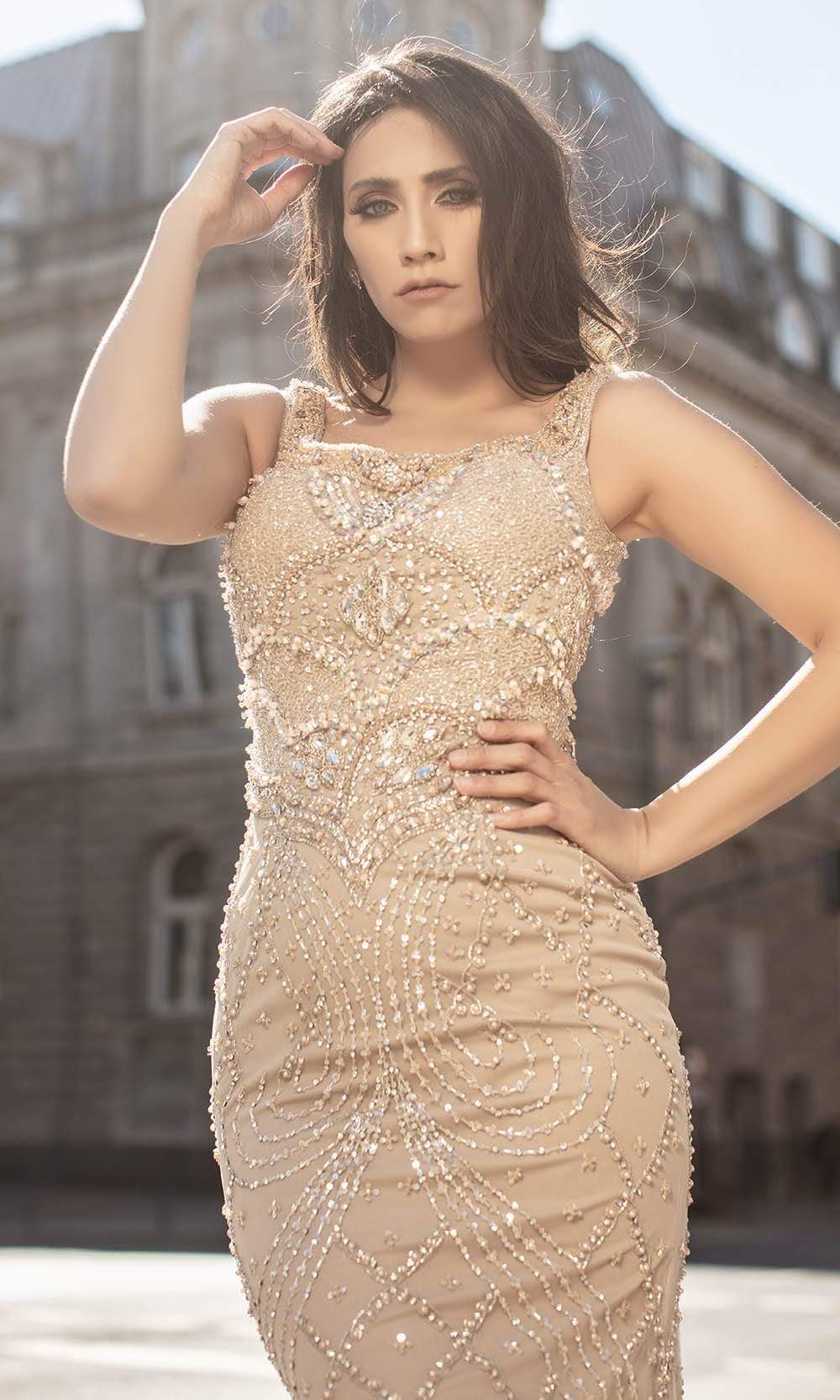 Chic and Holland - HF1574 Embellished Scoop Sheath Dress - back view