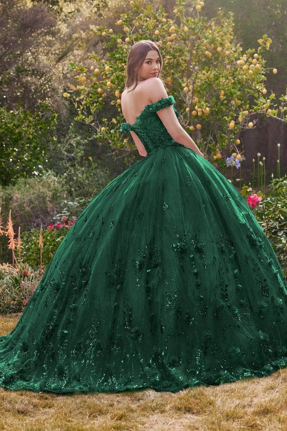 Cinderella Divine 15704 - Floral Appliqué Sweetheart Ballgown - view 8