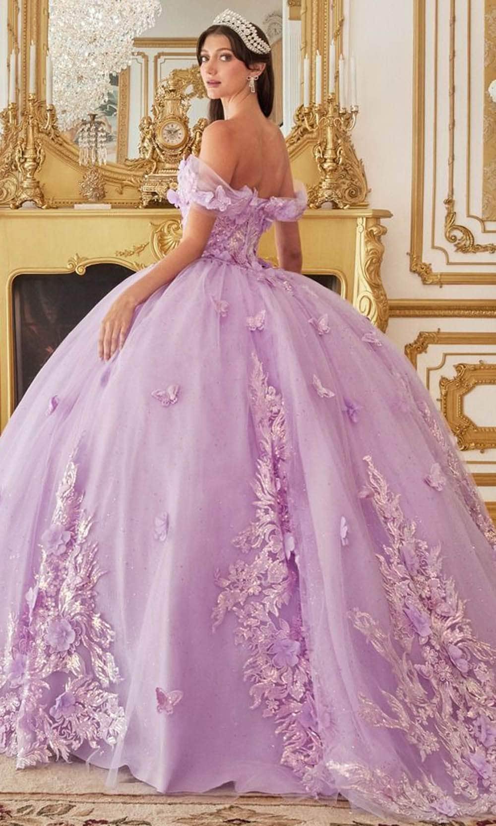 Cinderella Divine 15713 - Sweetheart Ballgown with 3D Floral Appliques - back view