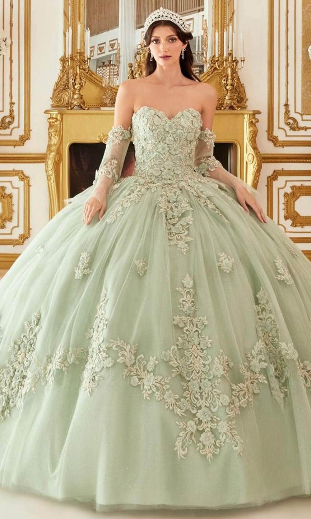 Cinderella Divine 15714 - Floral Applique Strapless Ballgown - detail view