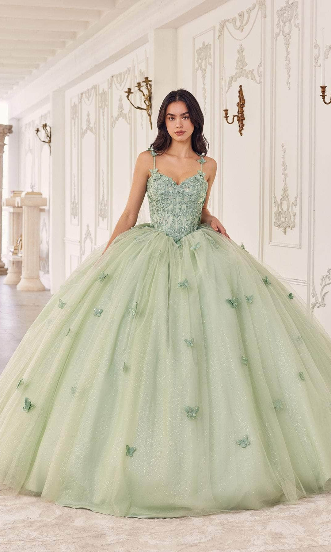 Cinderella Divine 15718 - Floral Applique Ballgown - view 5
