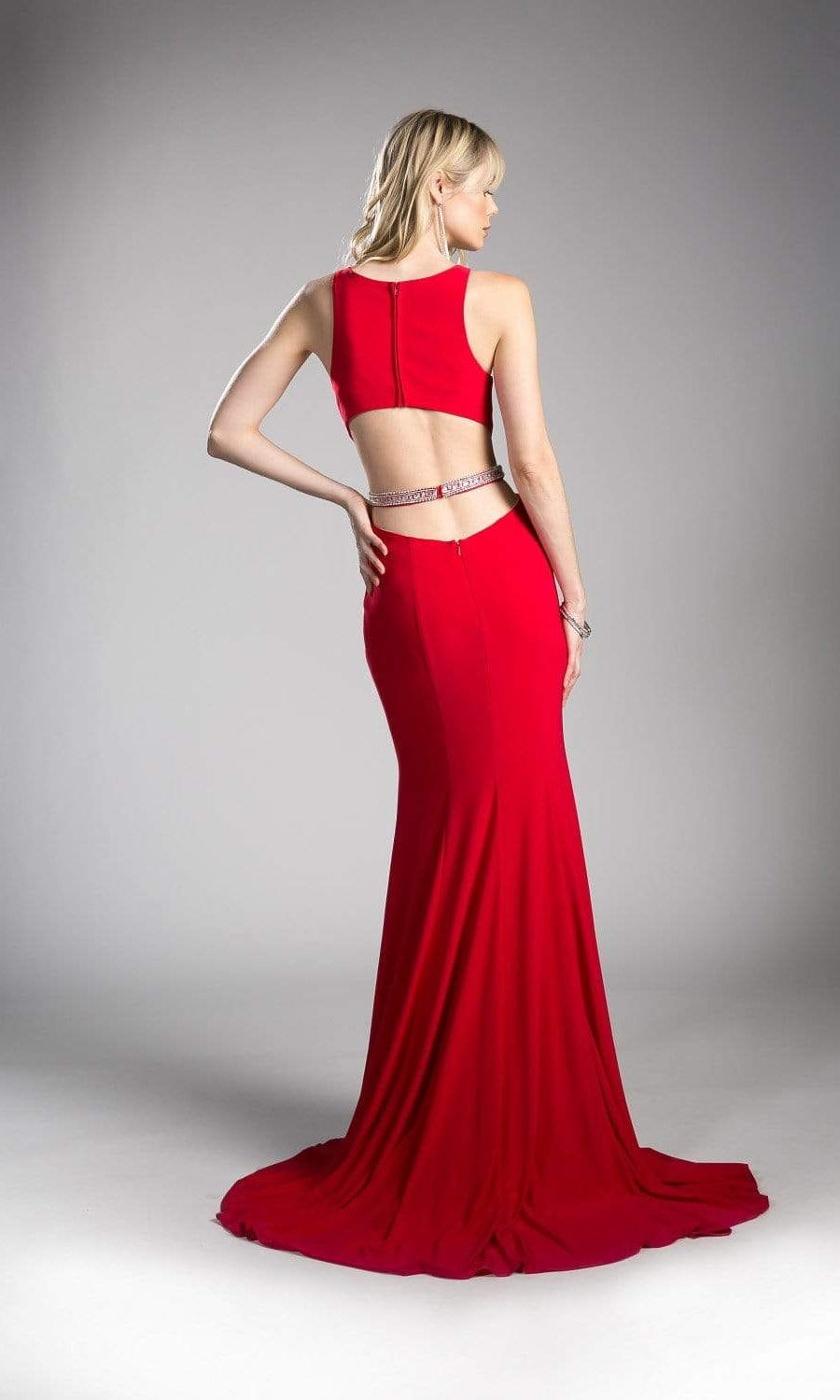 Cinderella Divine - 62806 Peaked Illusion Paneled Cutout Long Gown - back view