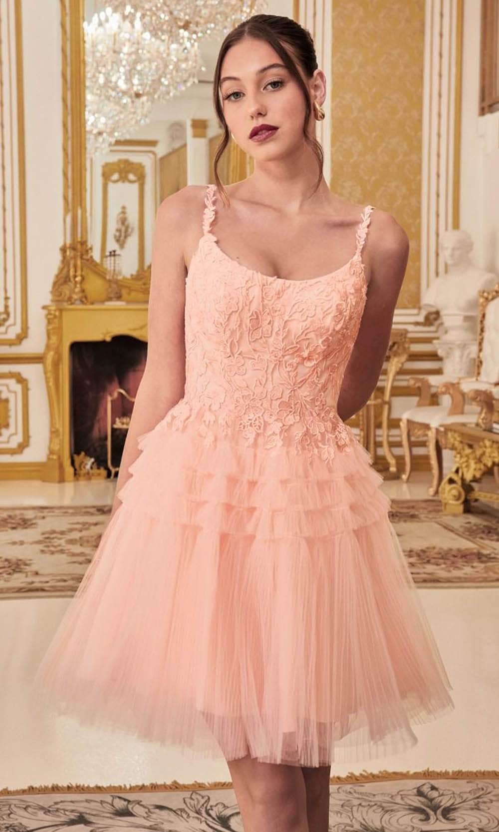 Cinderella Divine 9310 - A-Line Cocktail Dress with Embroidery - view 6