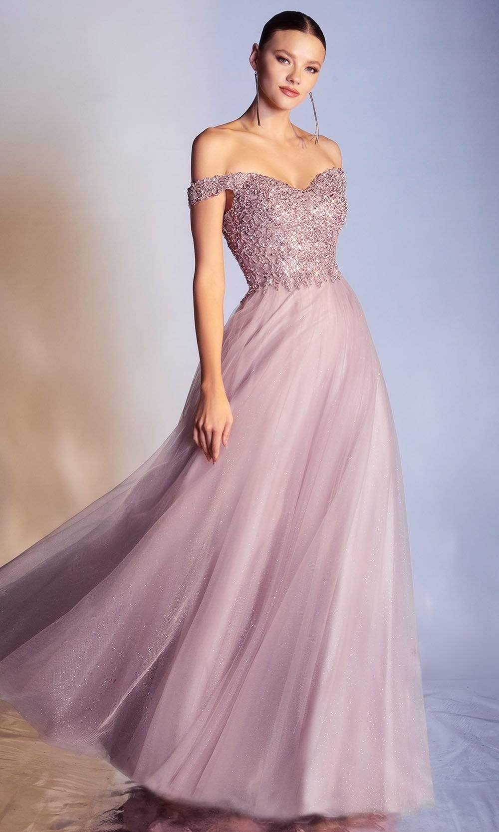 Cinderella Divine - CD0177 Metallic Lace Appliqued Glitter Tulle Gown - back view
