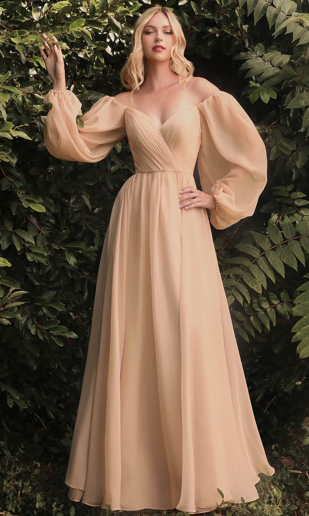 Cinderella Divine CD243 - A-Line Evening Dress - view 5