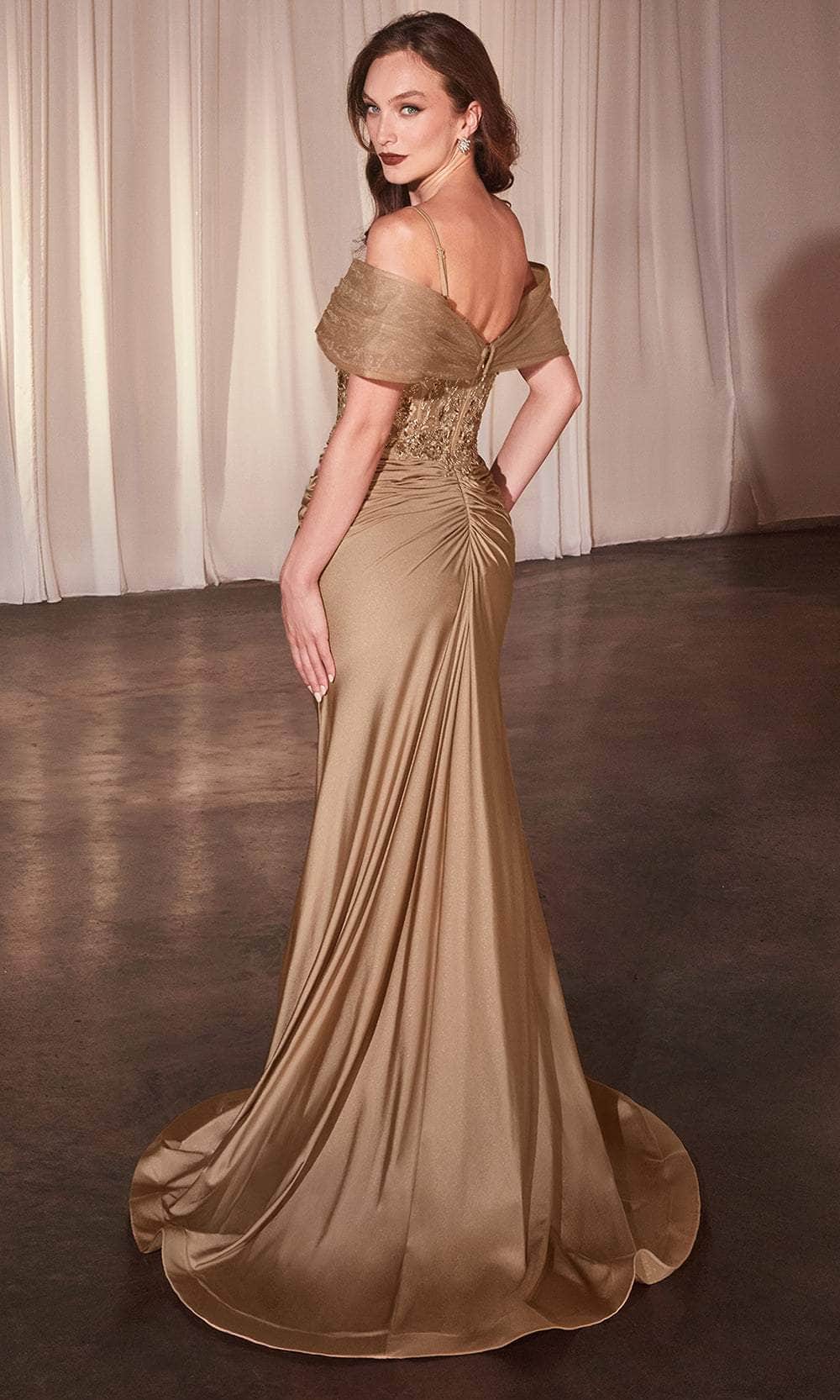 Cinderella Divine CD798 - Lace Applique Sleeveless Prom Gown - view 6