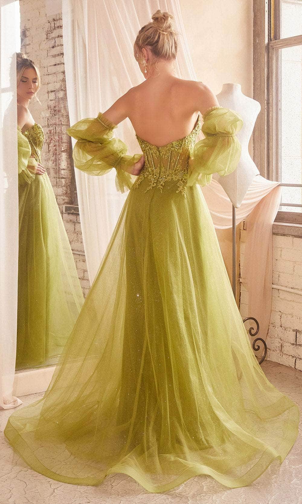 Cinderella Divine CD830 - Embroidered with Boned Strapless Bodice Ballgown - back view