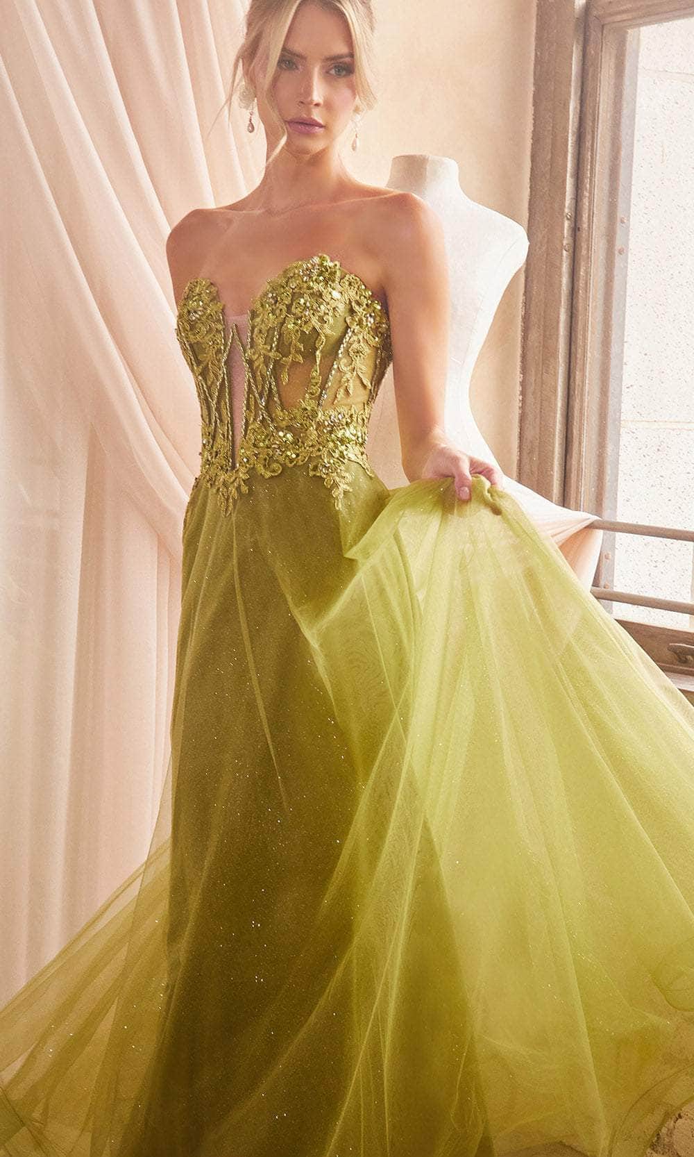 Cinderella Divine CD830 - Embroidered with Boned Strapless Bodice Ballgown - detail view