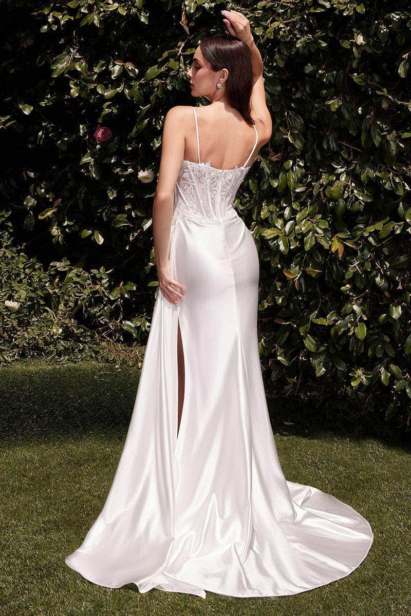 Cinderella Divine CD868W - Embroidered Corset Bodice Bridal Dress - back view