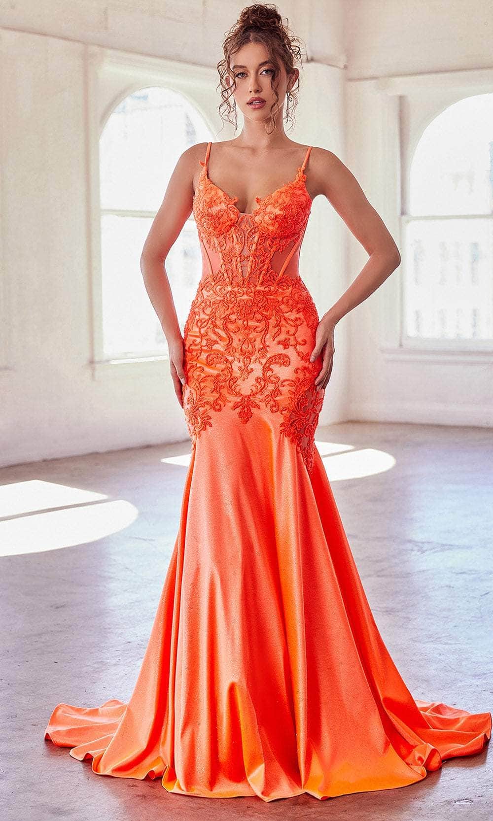 Cinderella Divine CDS470 - Evening Dress with Beaded Illusion Appliques - back view