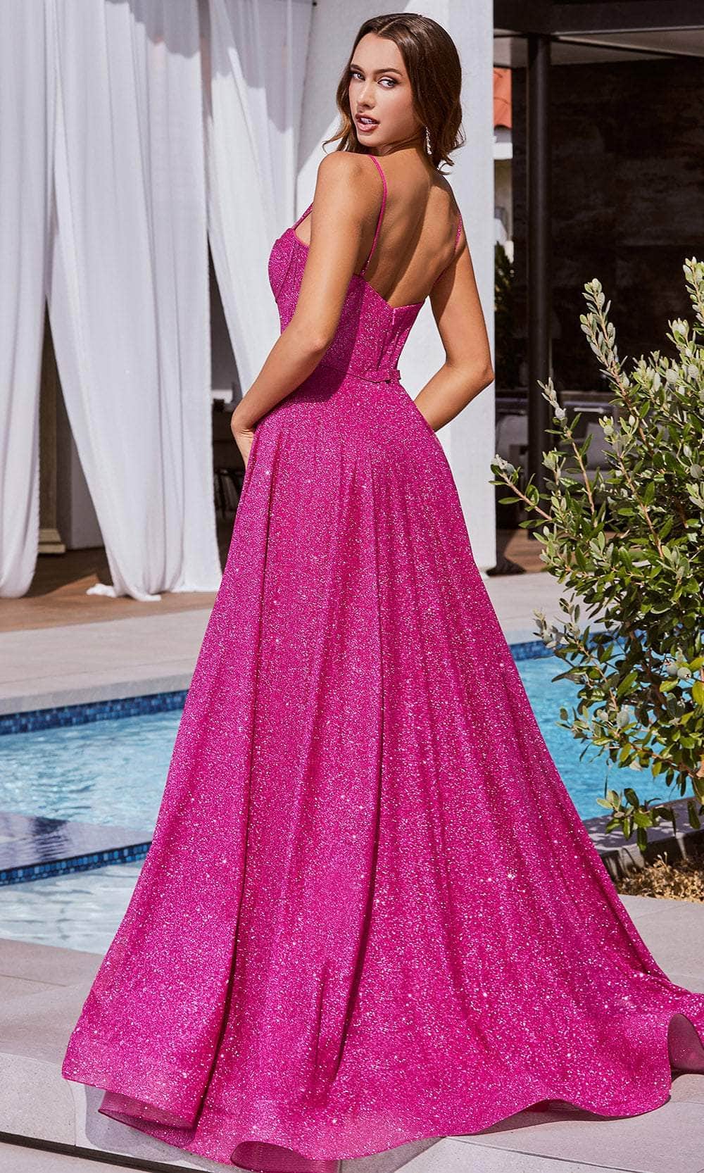 Cinderella Divine CDS483 - Glitter with Boned Bodice Ballgown - back view