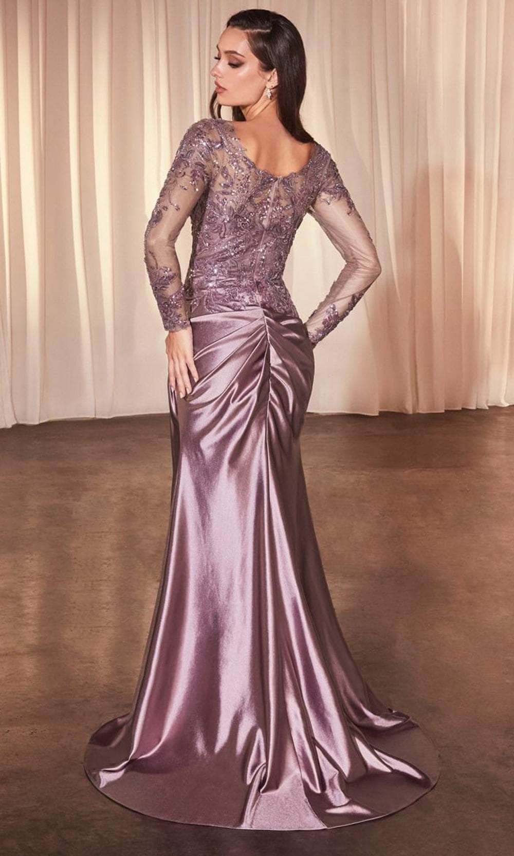 Cinderella Divine CDS505 - Illusion Bateau Sheath Evening Gown - back view