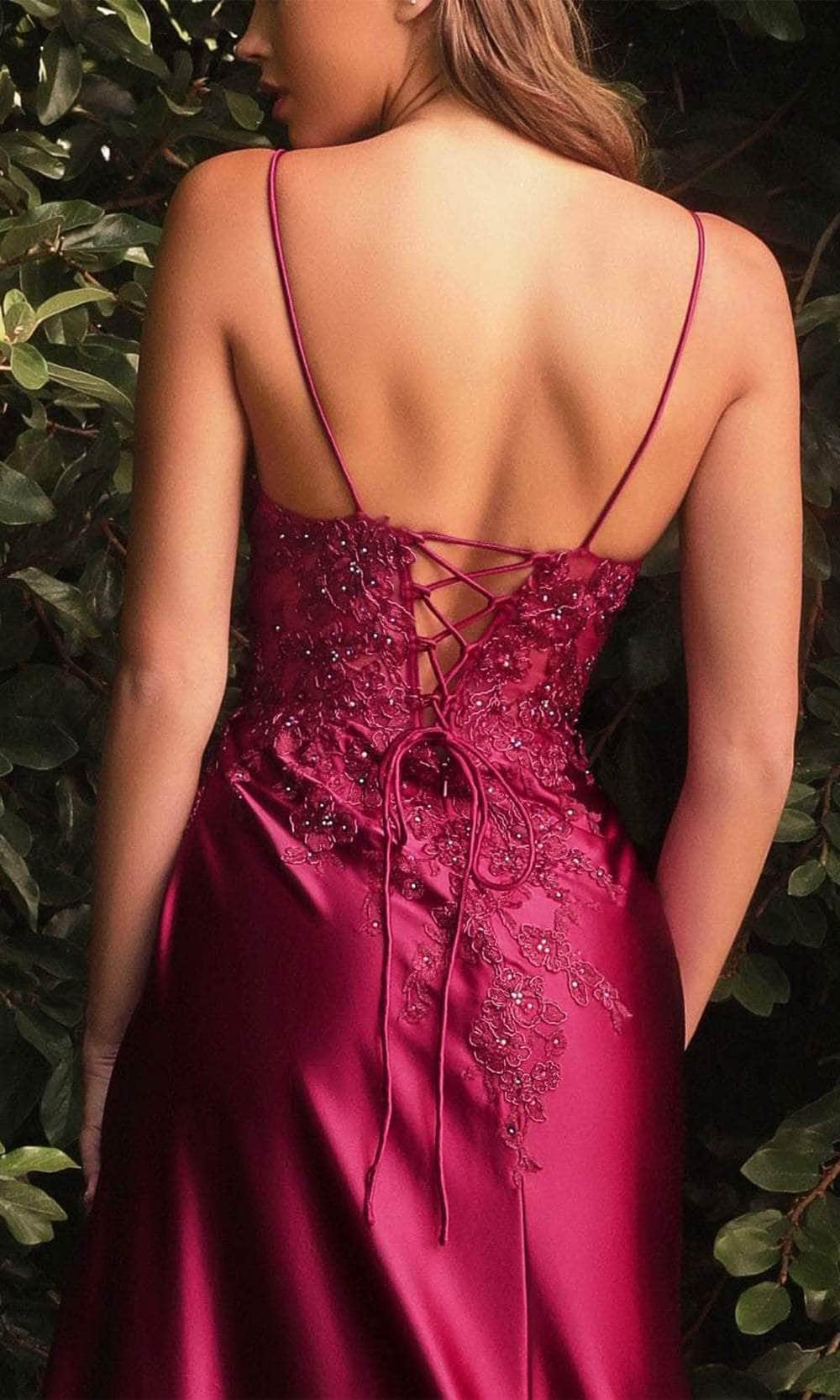 Cinderella Divine CM318 - Sleeveless Lace Long Dress - view 7