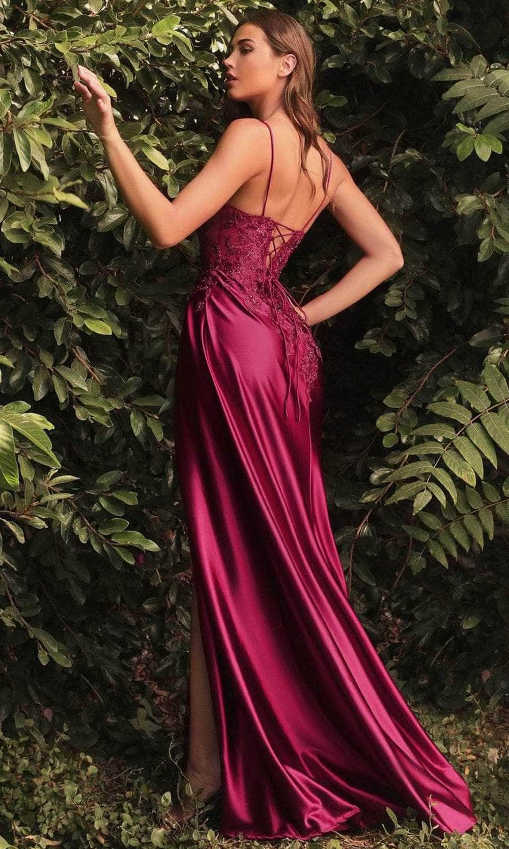 Cinderella Divine CM318 - Sleeveless Lace Long Dress - view 5