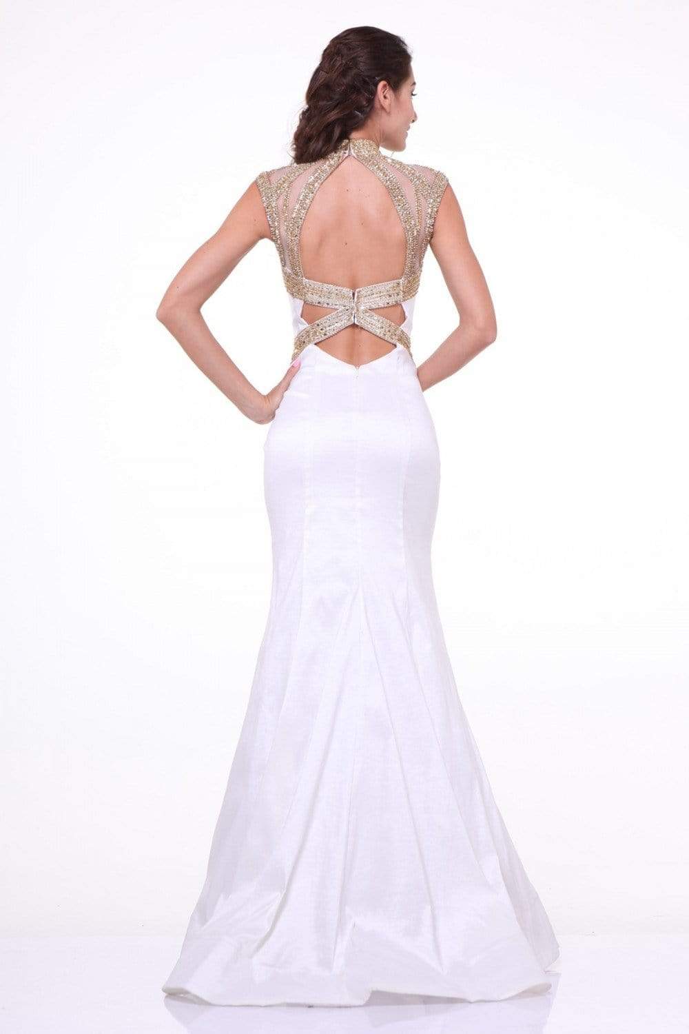 Cinderella Divine - Embellished Sheer High Neck Fitted Evening Gown - back view