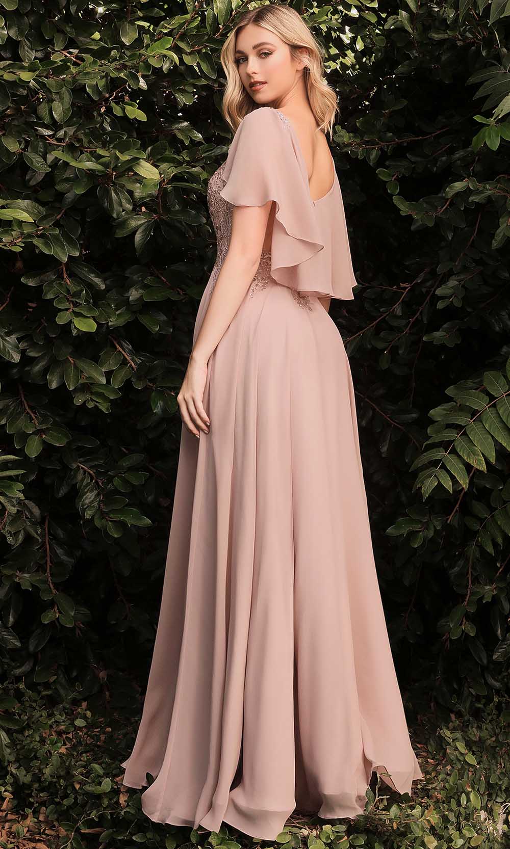 Cinderella Divine HT101 - Illusion Bateau Formal Dress - back view