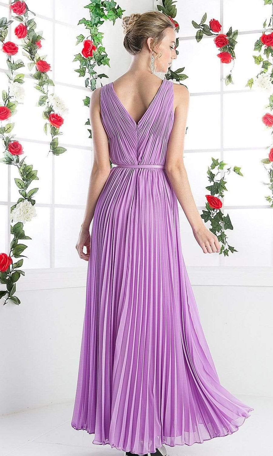 Cinderella Divine - Pleated V-neck A-line Dress - detail view