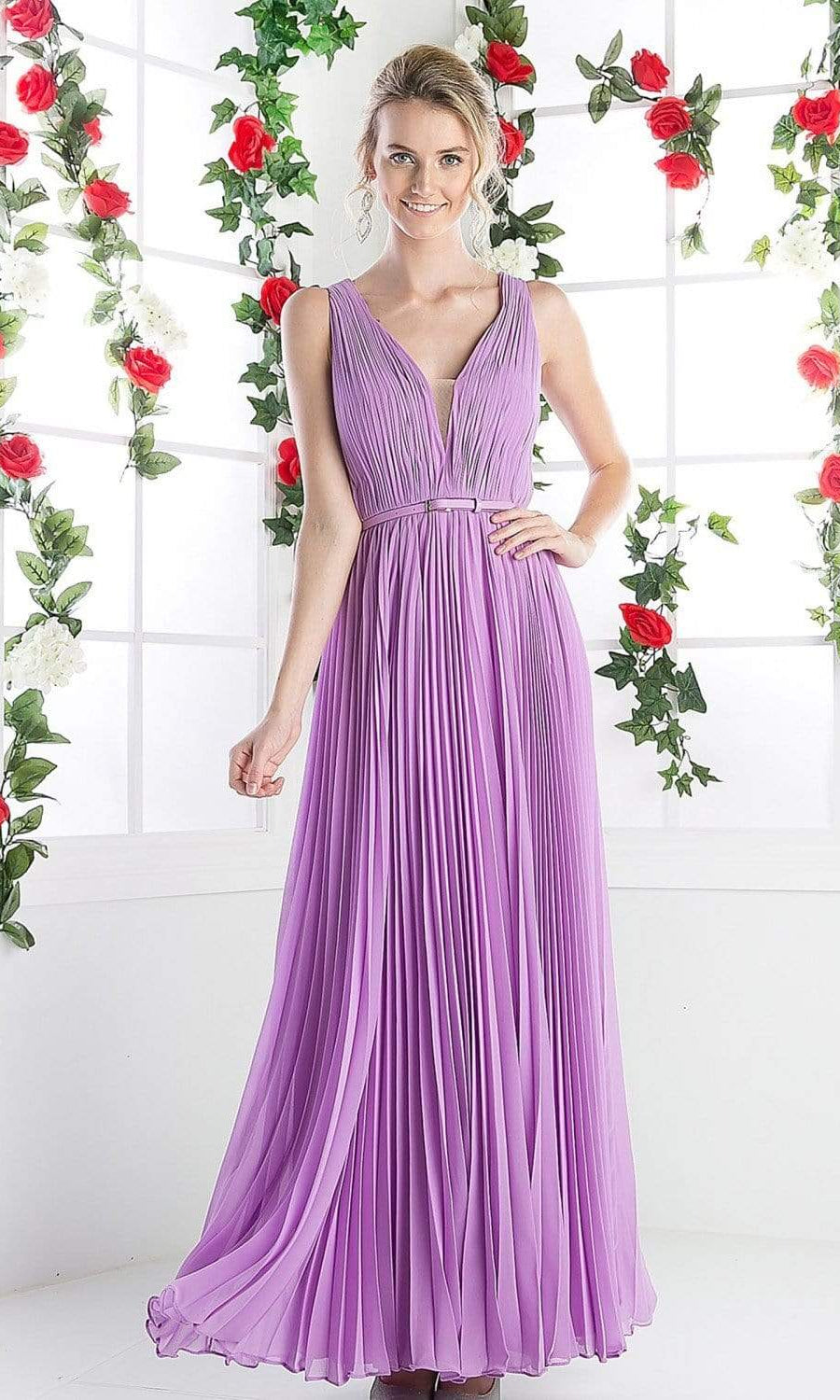 Cinderella Divine - Pleated V-neck A-line Dress - back view