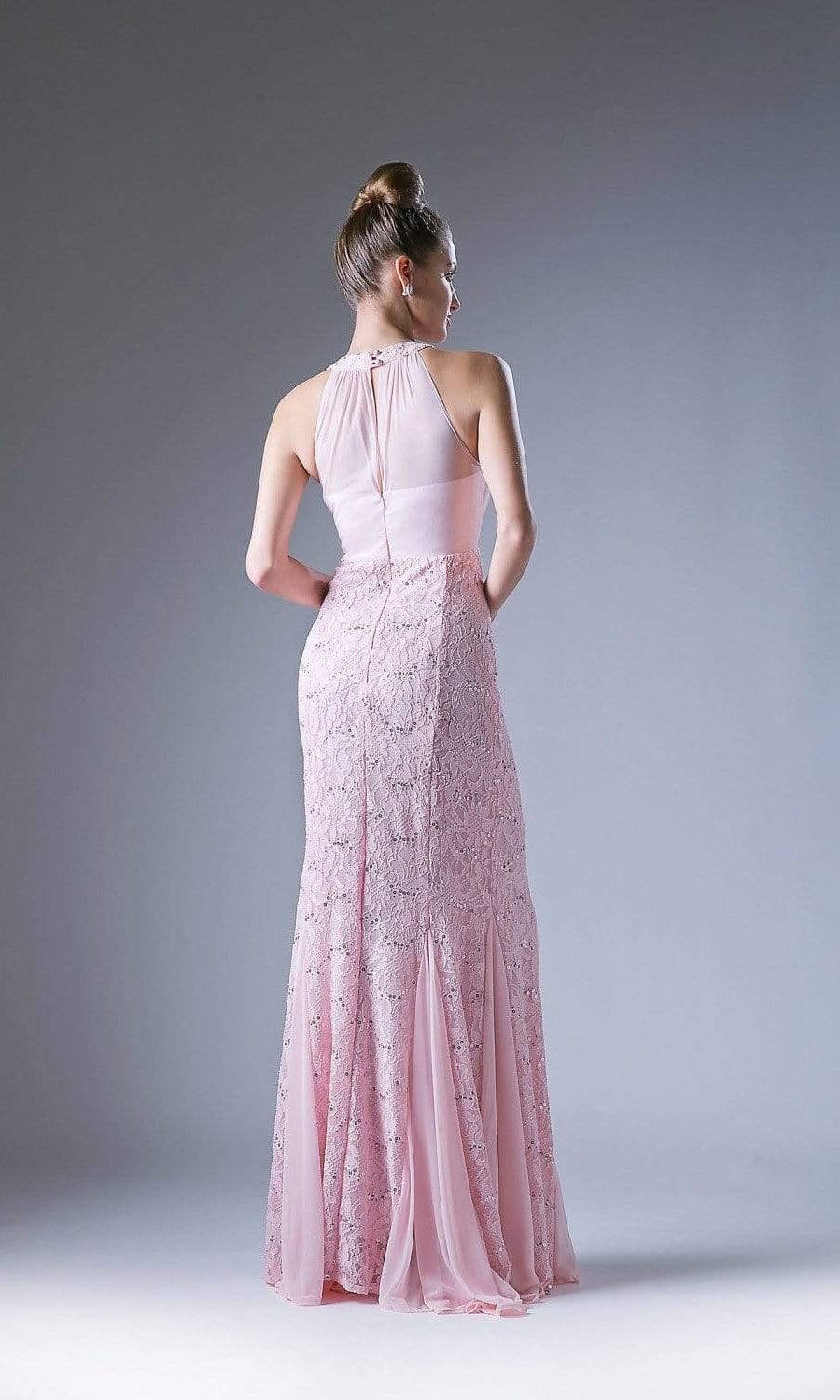 Cinderella Divine - Sleeveless Lace Illusion Halter Sheath Dress - back view