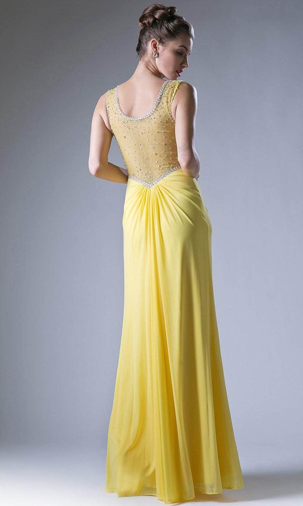 Cinderella Divine XP13 - Ruched Sheer Back Long Dress - back view