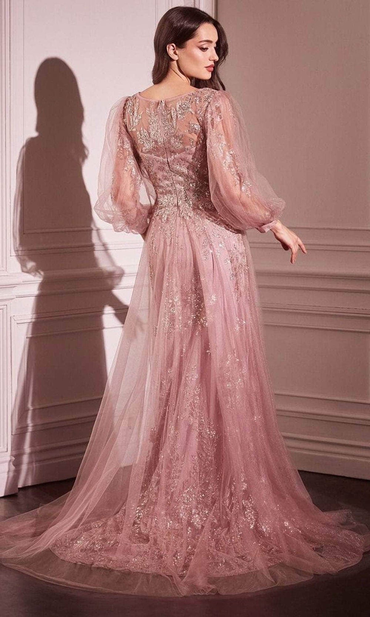 Ladivine CD0102 - Long Sleeve Applique Gown
