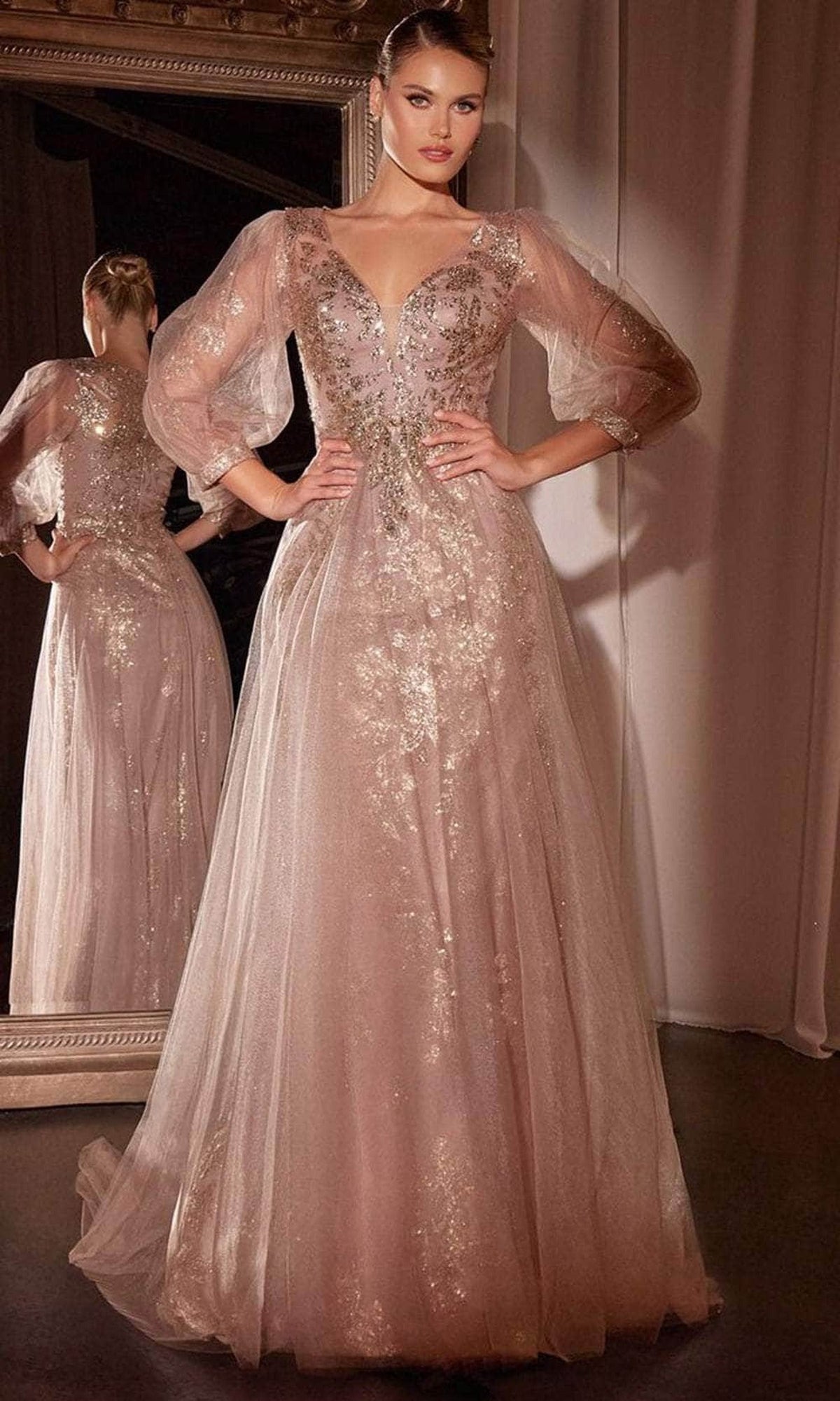 Ladivine CD0102 - Long Sleeve Applique Gown