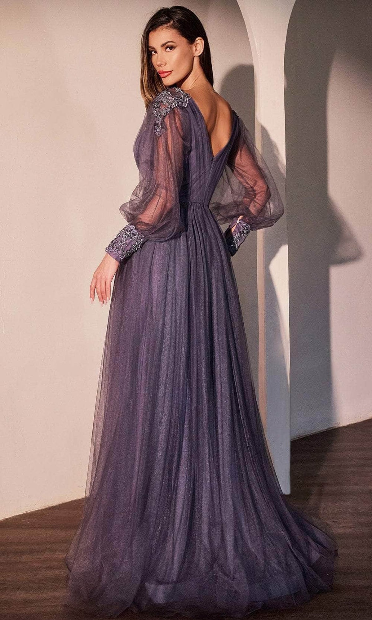 Ladivine CD0938 - Sheer Long Sleeve Lace Applique Prom Gown