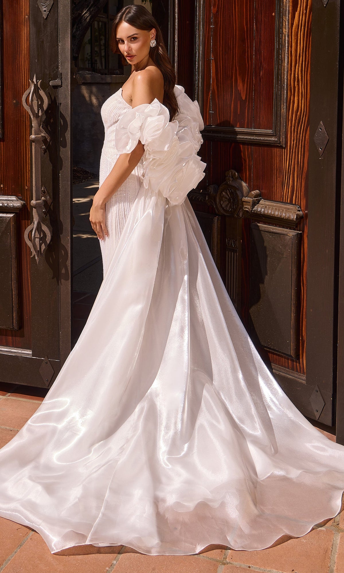 Ladivine CJ933W Linear Beaded Mermaid Bridal Dress