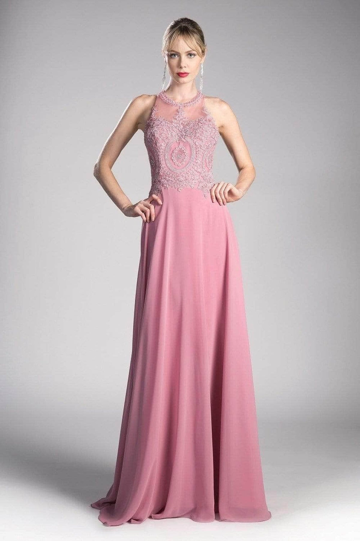 Ladivine UJ0120 - Illusion Jewel Tonal Appliqued Chiffon Gown