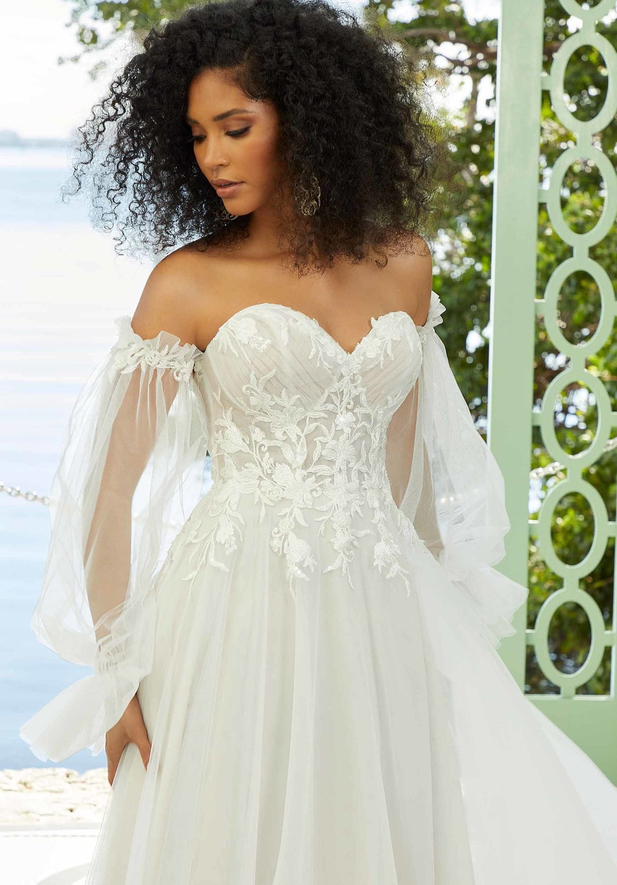 Franzetta Wedding Dress by Morilee