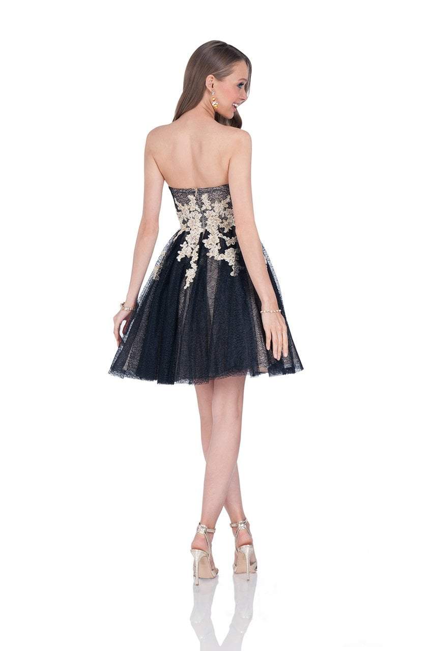 Terani Couture - 1611P0134A Floral Lace Sweetheart A-line Dress - back view