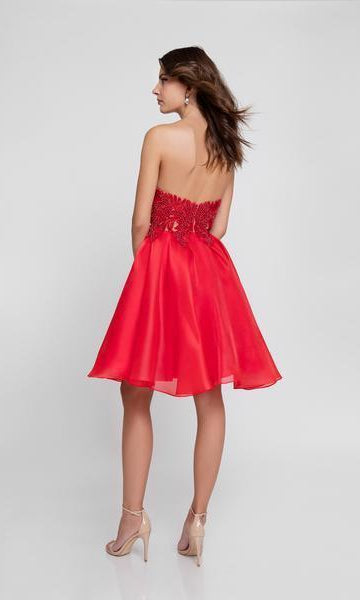 Terani Couture - 1811P5100 Embroidered Plunging Sweetheart Dress - back view