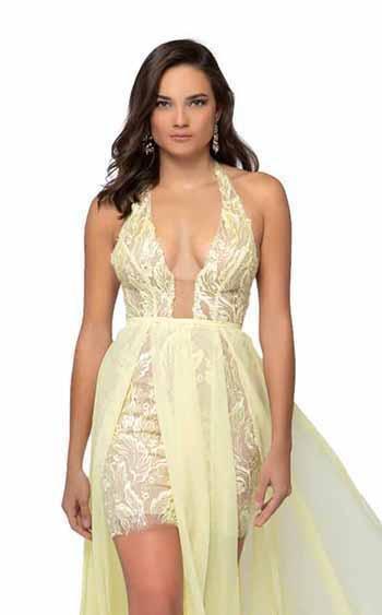 Terani Couture - 1913P8314 Beaded Lace Deep Halter Vneck Chiffon Dress - back view