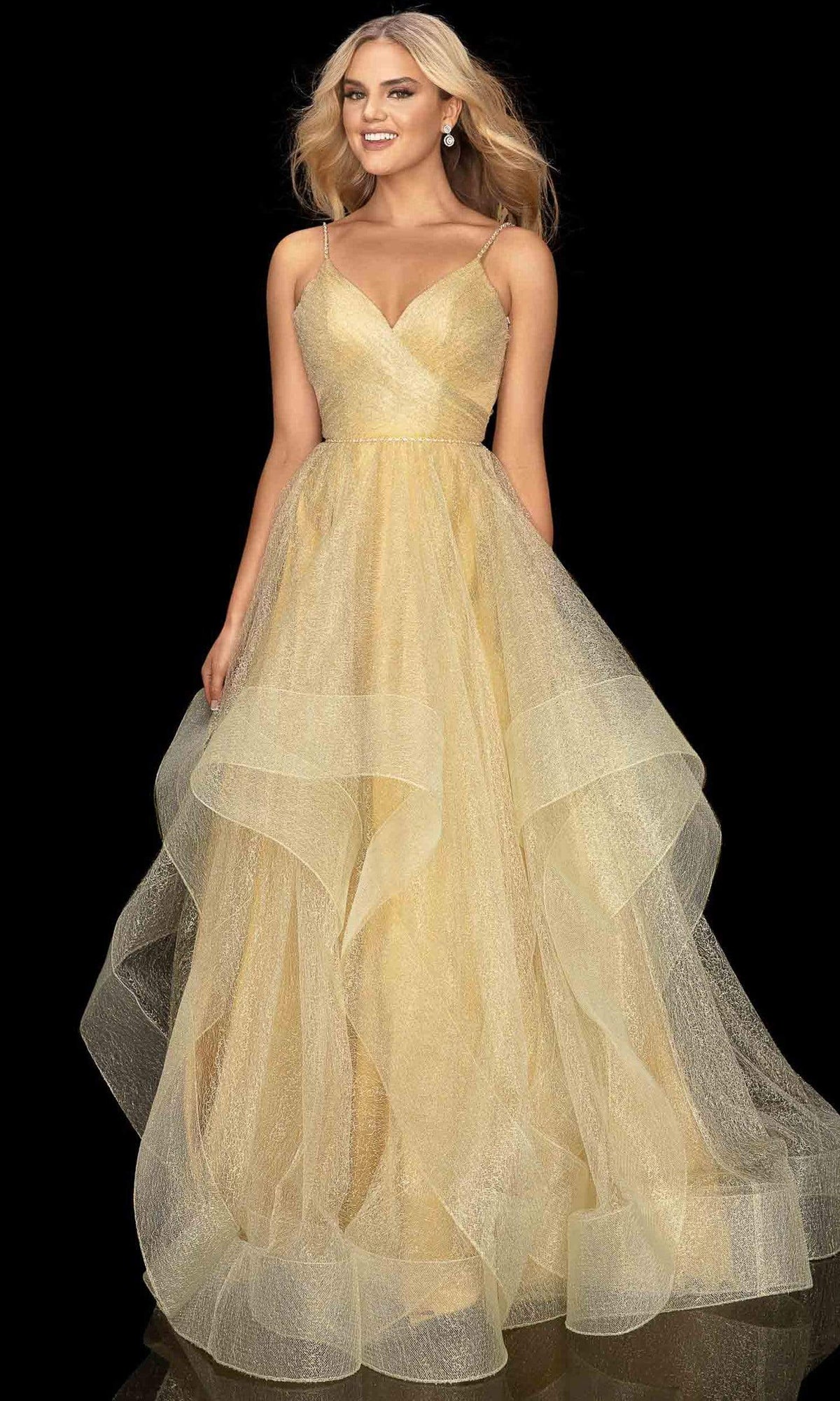 Terani Couture - 2011P1213 Crisscross Rendered Tiered A-Line Gown - back view