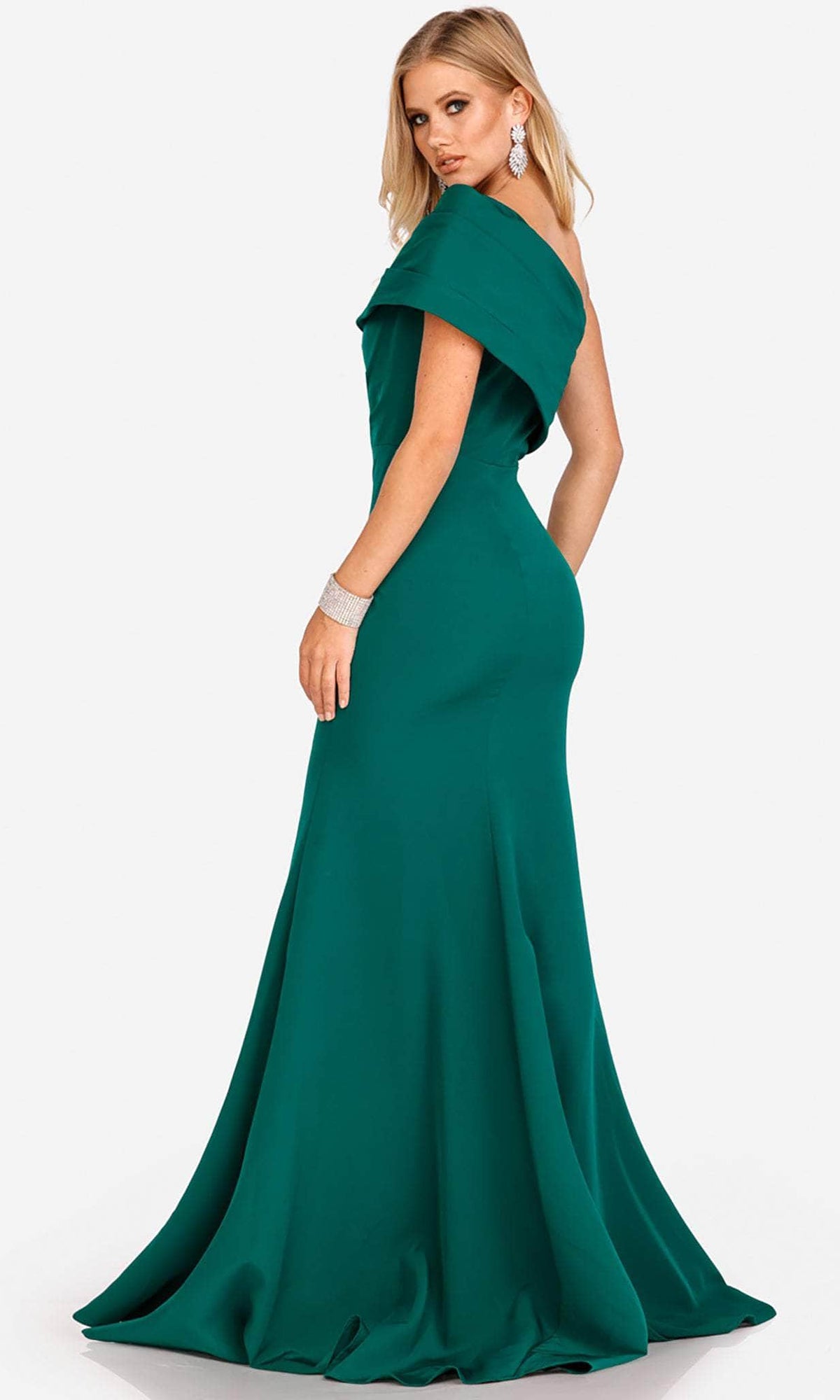 Terani Couture 231M0473 - Mermaid Long Mother of the Bride Gown - back view