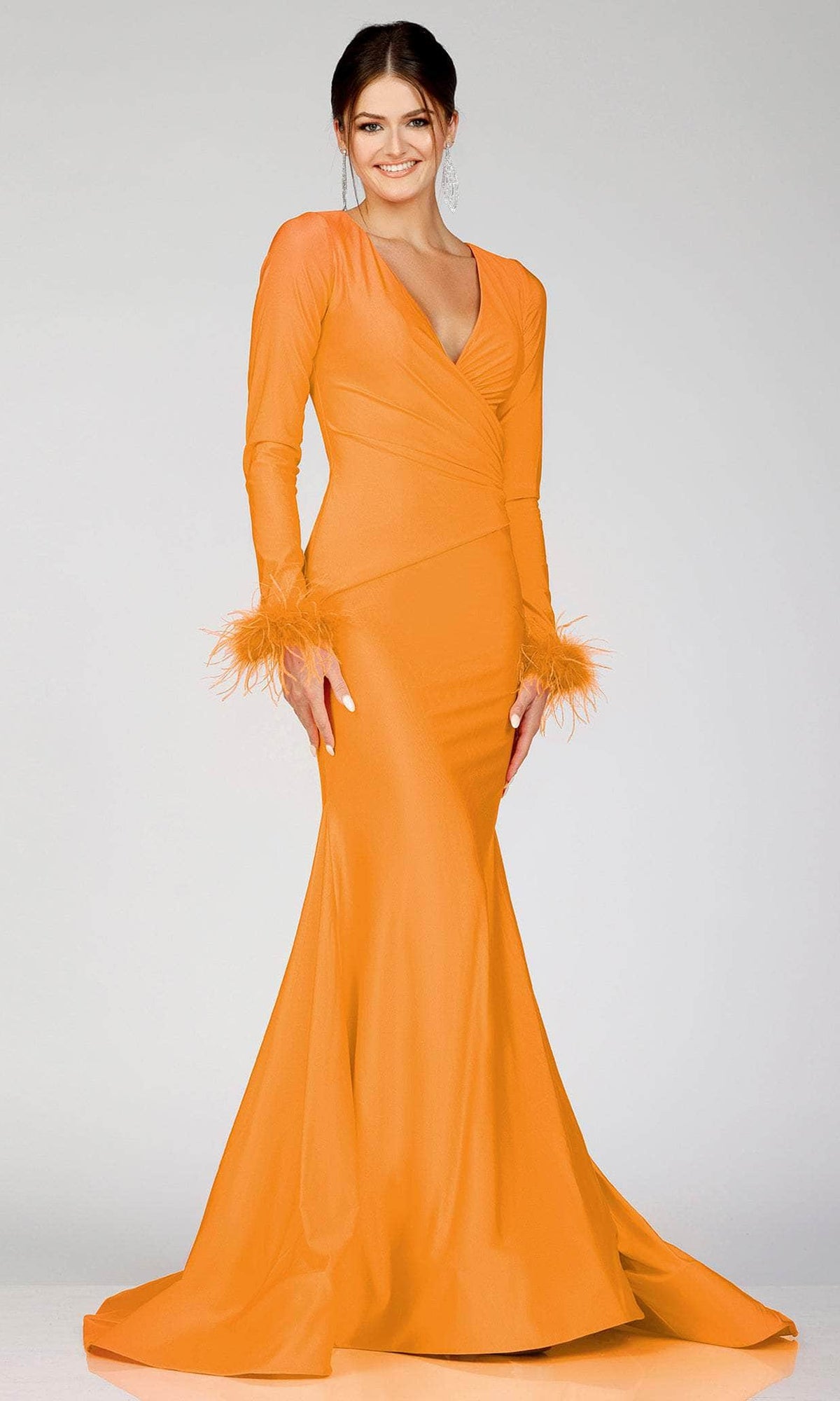 Terani Couture 231P0074 - Long Sleeve Feathered Detailed Evening Gown - view 6